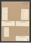 Stauroneis gregoryi Ralfs (de-Toni-Nr.: Genus 6, Species 885) Zeichnungen Sammlung Grunow Nr. 1744 (NHMW-BOT-W0368628)